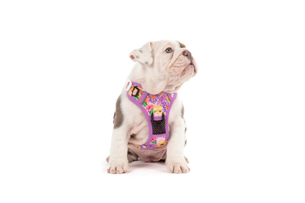 Big And Little Dogs-THE ALL-ROUNDER DOG HARNESS: Spring Fling