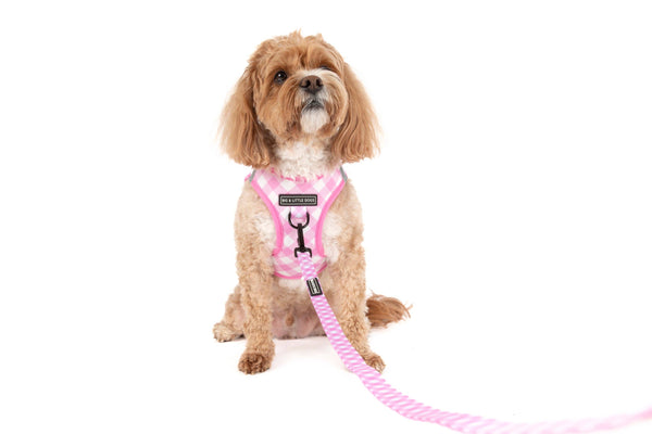 Big And Little Dogs- STEP-IN DOG HARNESS: Pink Milk Gingham