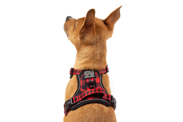 Big and Little Dogs-THE ALL-ROUNDER DOG HARNESS: Plaid to the Bone
