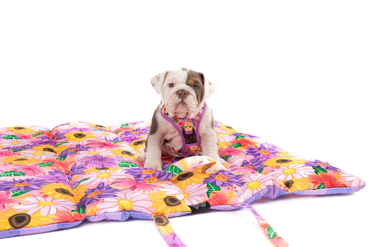 Big And Little Dogs-ON-THE-GO PET MAT: Spring Fling