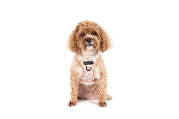 Big And Little Dogs-STEP-IN DOG HARNESS: Latte Gingham