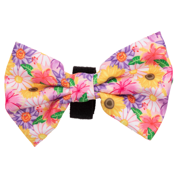 NEW Big And Little Dogs- DOG COLLAR + Bow Tie: Spring Fling