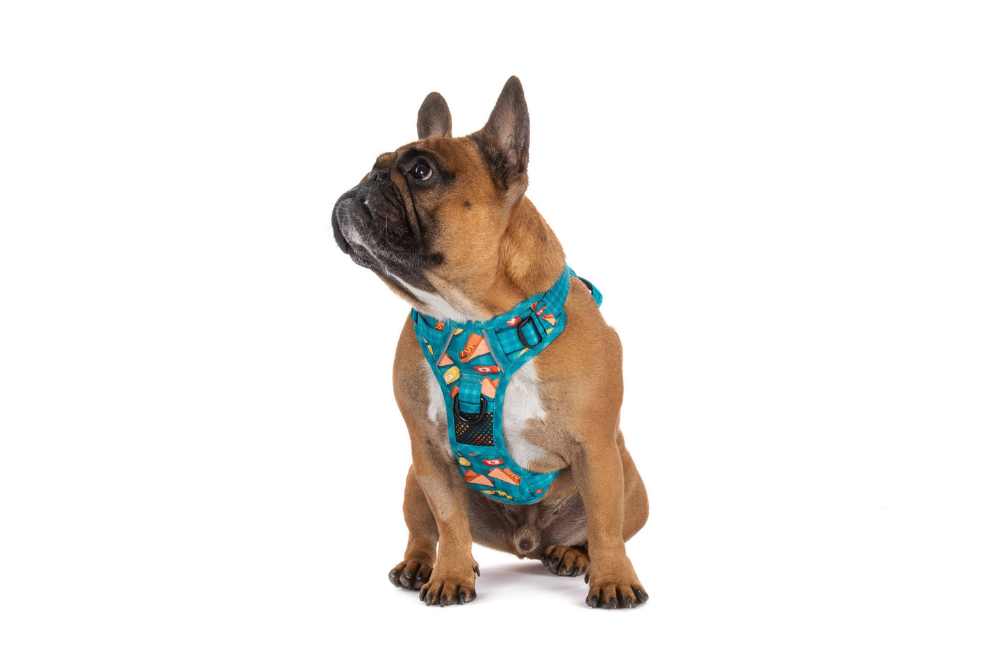 Big And Little Dogs THE ALL-ROUNDER DOG HARNESS: Sausage Sizzle