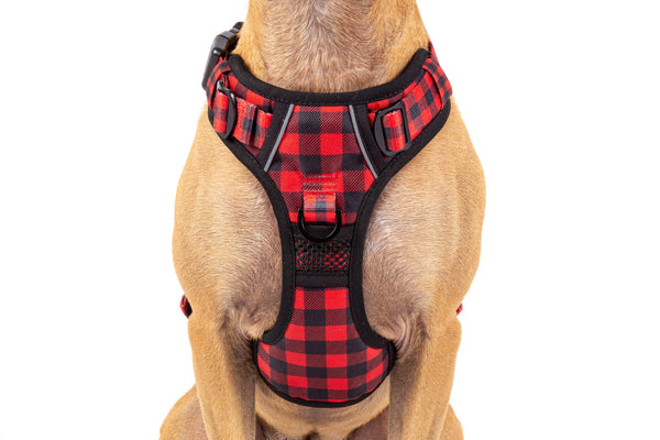 Big and Little Dogs-THE ALL-ROUNDER DOG HARNESS: Plaid to the Bone