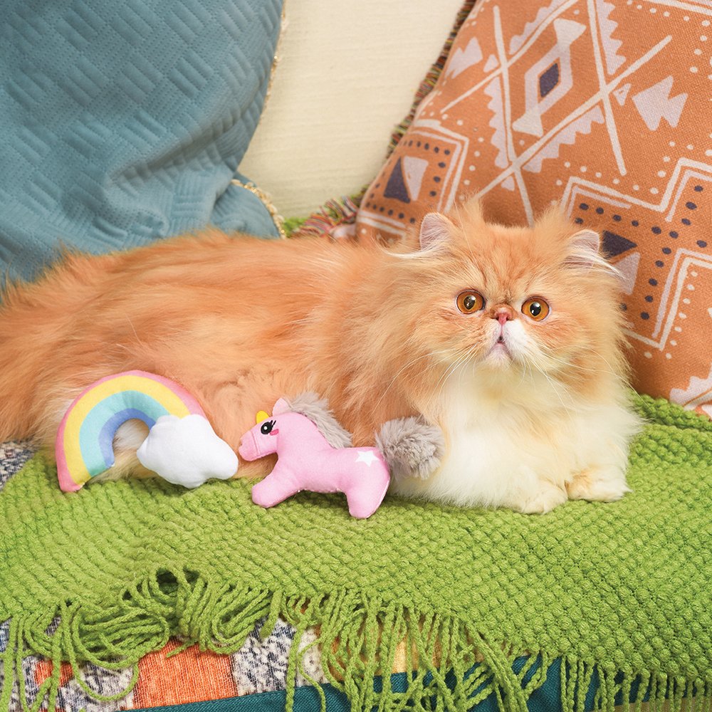 HugSmart Meow Buddies Crazy Catcher Unicorn And Rainbow