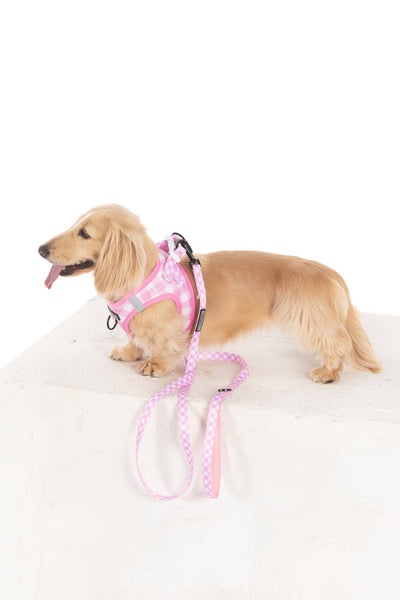 Big And Little Dogs- STEP-IN DOG HARNESS: Pink Milk Gingham