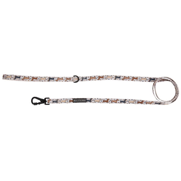 Big And Little Dogs-DOG LEASH: Dashie Lovers