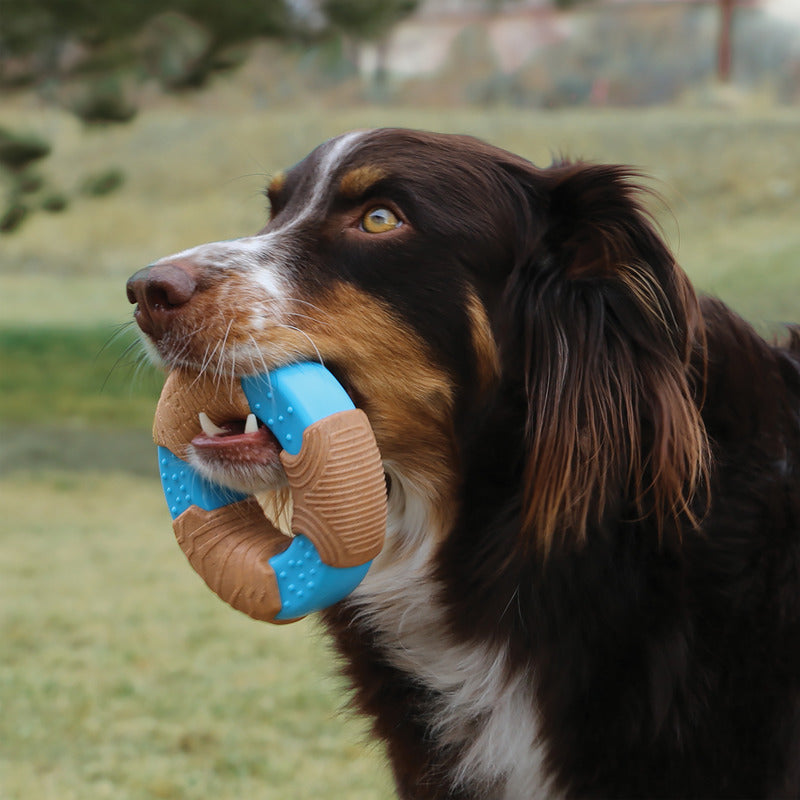 KONG CoreStrength™ Bamboo Bone Lg