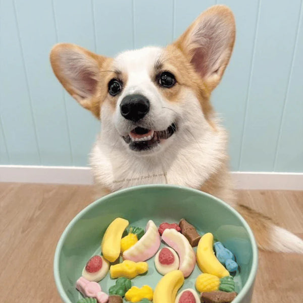 Doggytopia Pawty Mix Dog Lollies