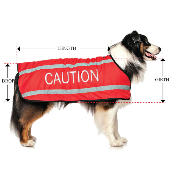 Friendly Dog Collars- Coat- Caution