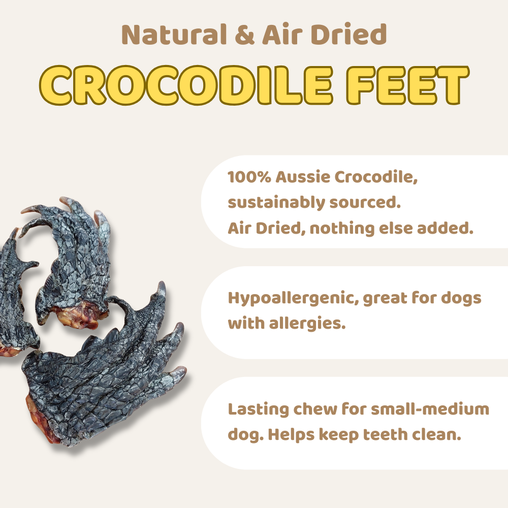 Advertisement for natural and air-dried crocodile feet for dogs on a beige background.