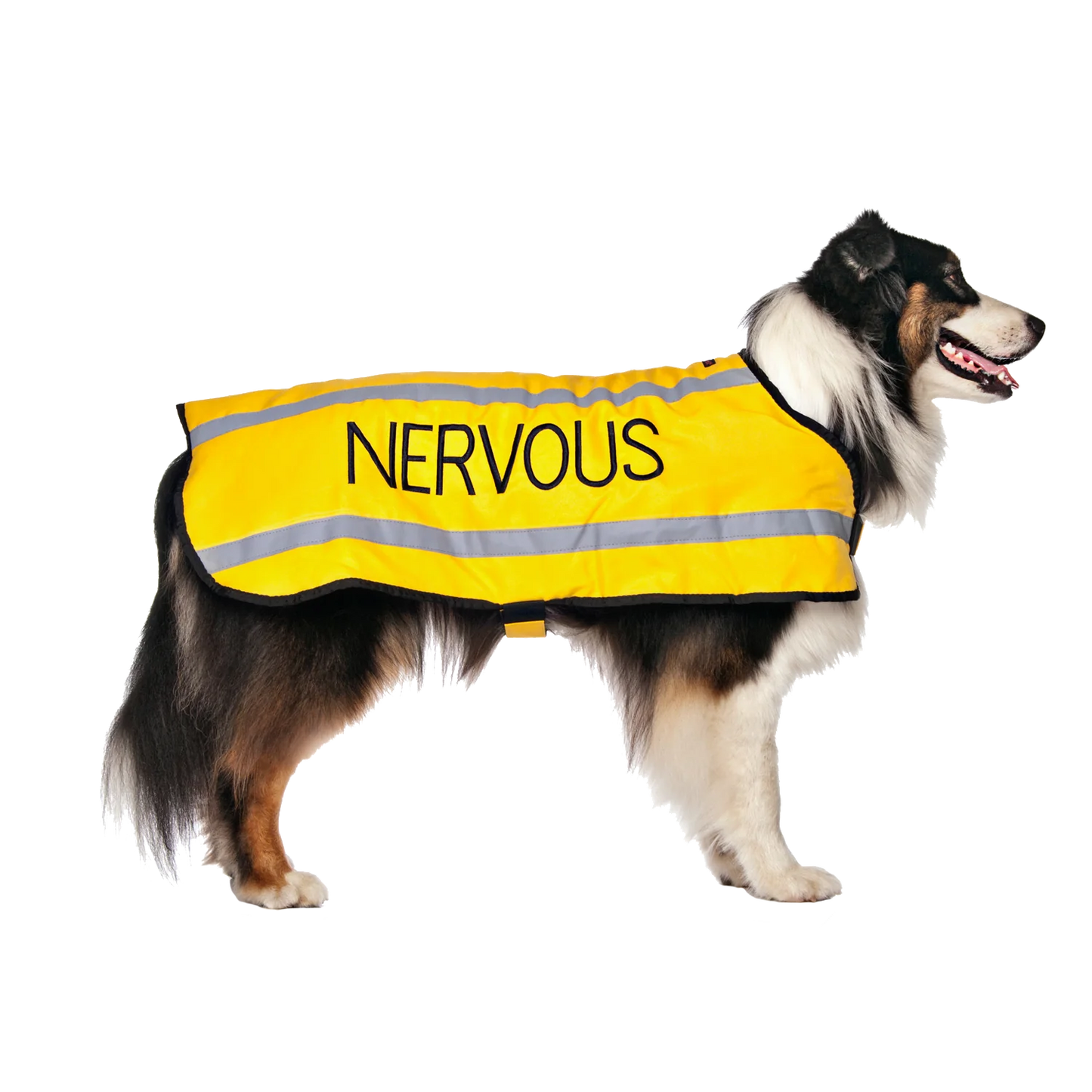 Friendly Dog Collars- Coat- Nervous