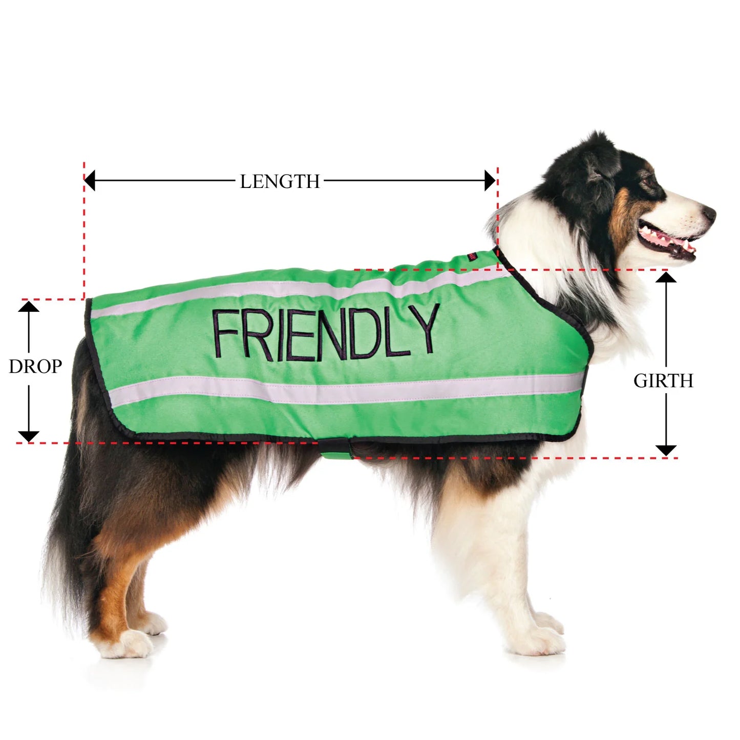 Friendly Dog Collars- Coat- Friendly