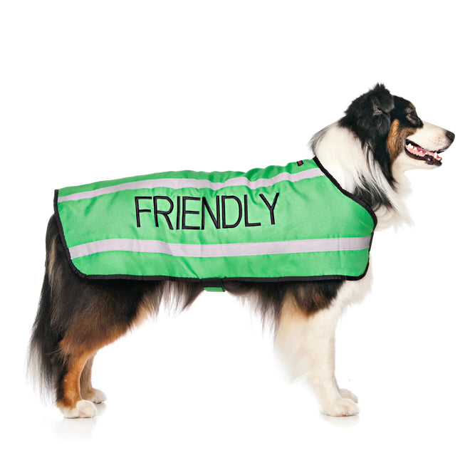 Friendly