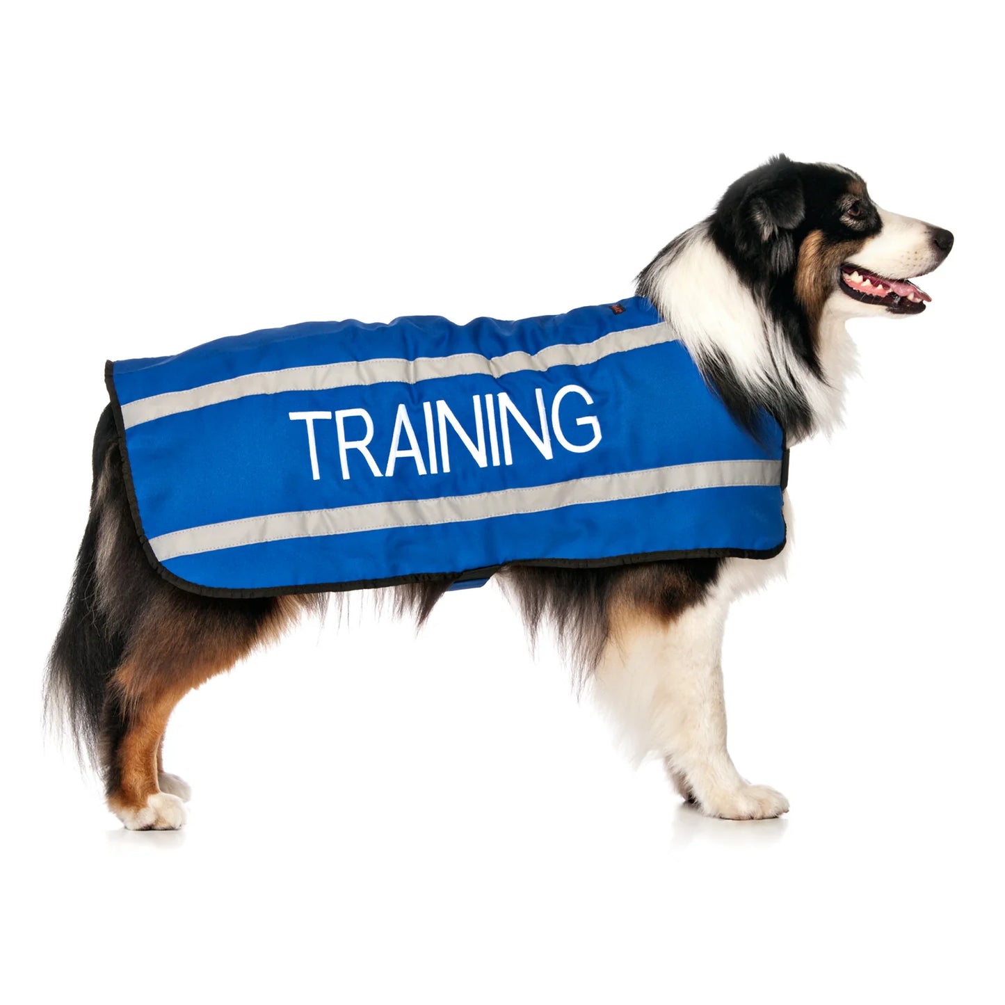 Friendly Dog Collars- Coat- Training