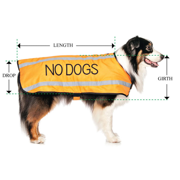 Friendly Dog Collars- Coat- No Dogs