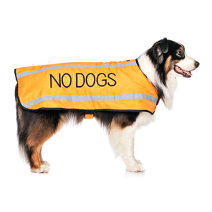 Friendly Dog Collars- Coat- No Dogs