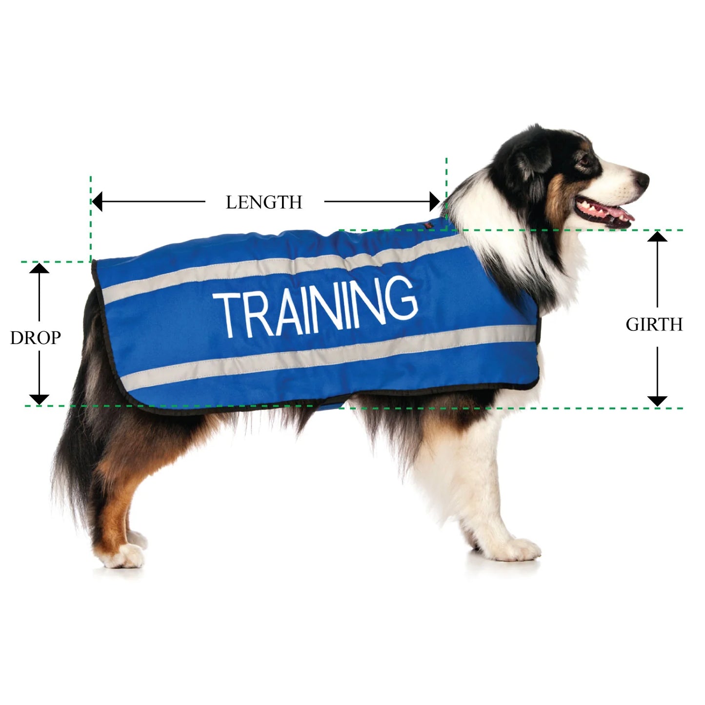 Friendly Dog Collars- Coat- Training