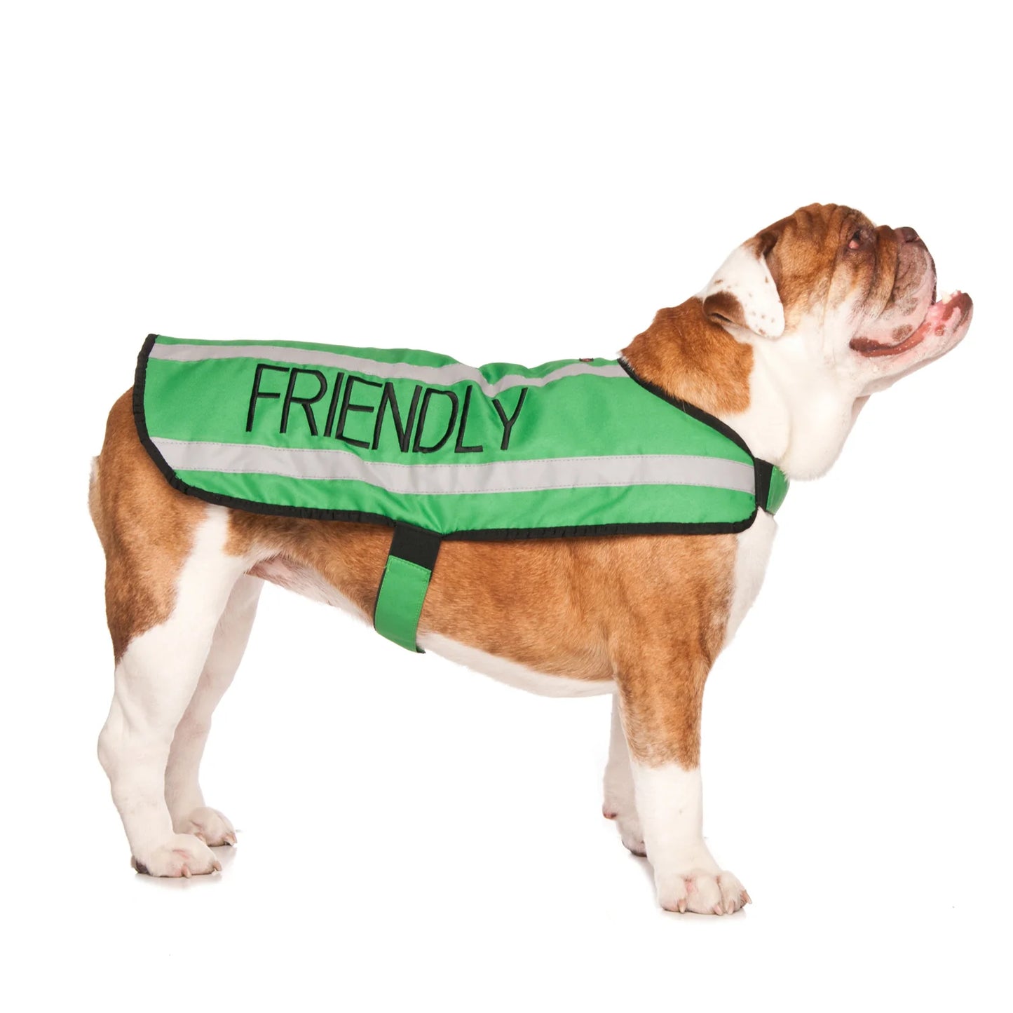 Friendly Dog Collars- Coat- Friendly