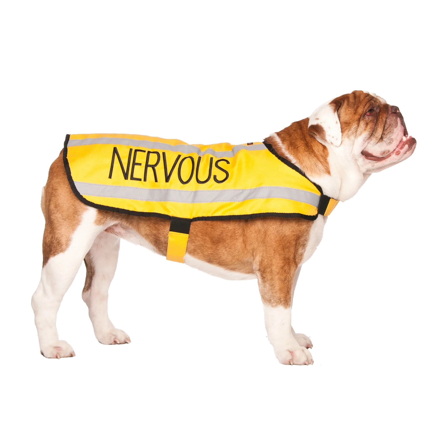 Friendly Dog Collars- Coat- Nervous