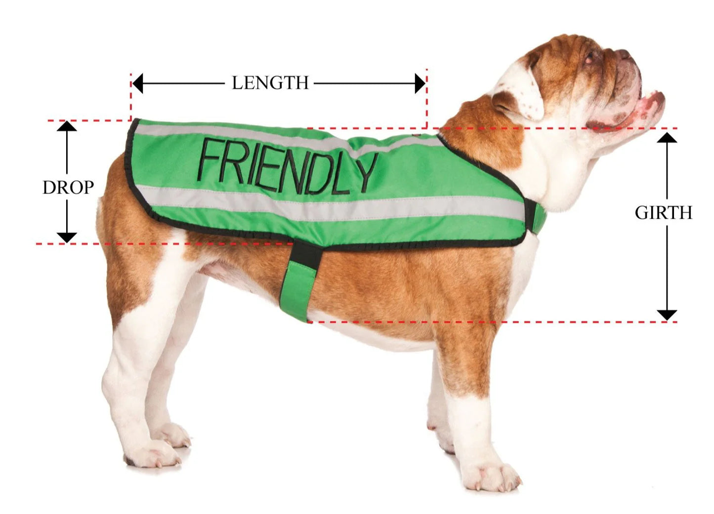 Friendly Dog Collars- Coat- Friendly