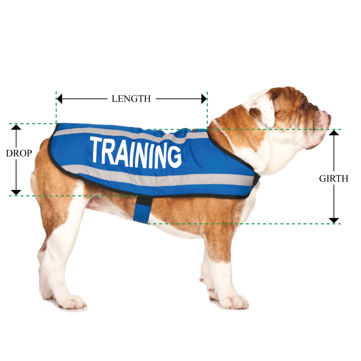 Friendly Dog Collars- Coat- Training