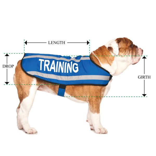 Friendly Dog Collars- Coat- Training