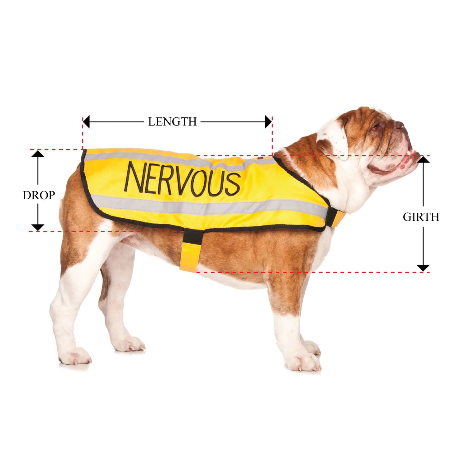 Friendly Dog Collars- Coat- Nervous