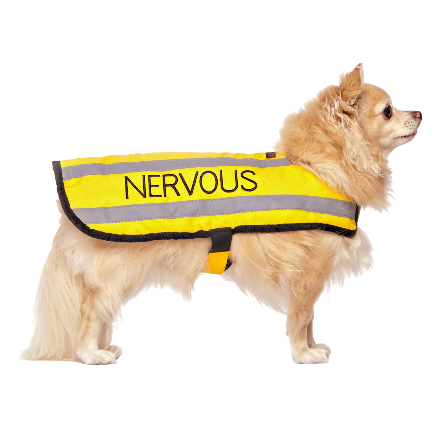 Friendly Dog Collars- Coat- Nervous