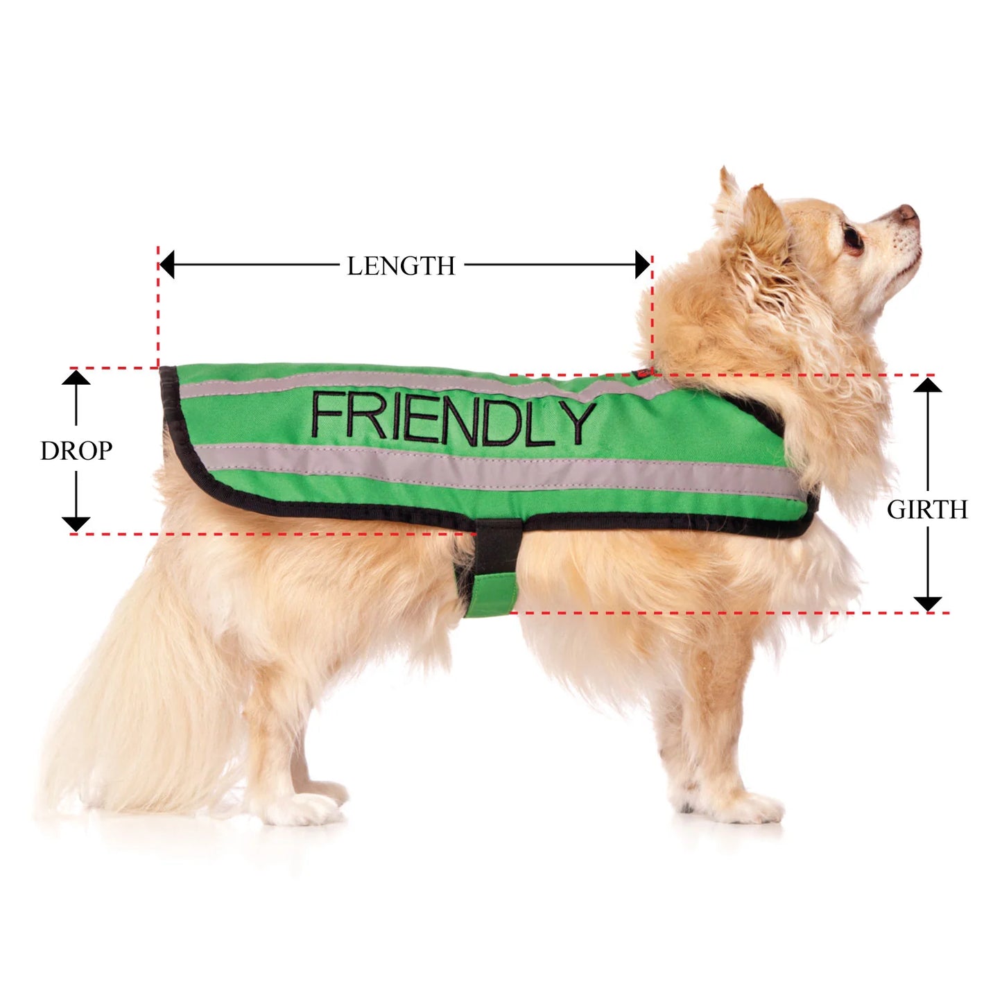 Friendly Dog Collars- Coat- Friendly