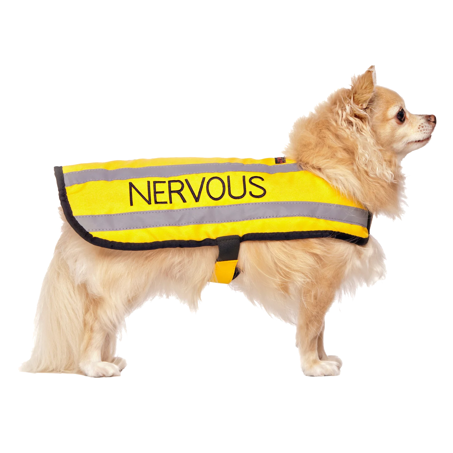 Friendly Dog Collars- Coat- Nervous