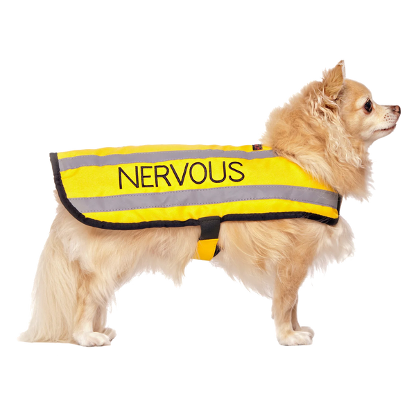 Friendly Dog Collars- Coat- Nervous