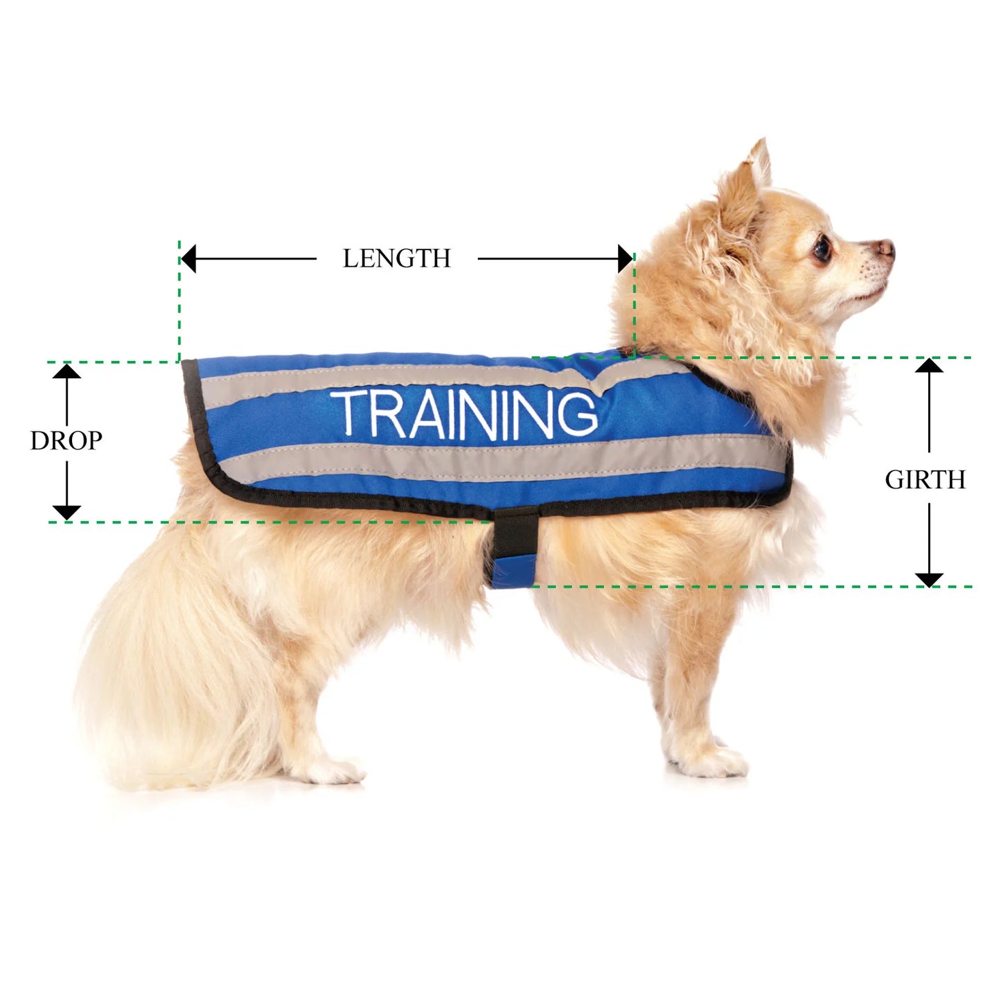 Friendly Dog Collars- Coat- Training