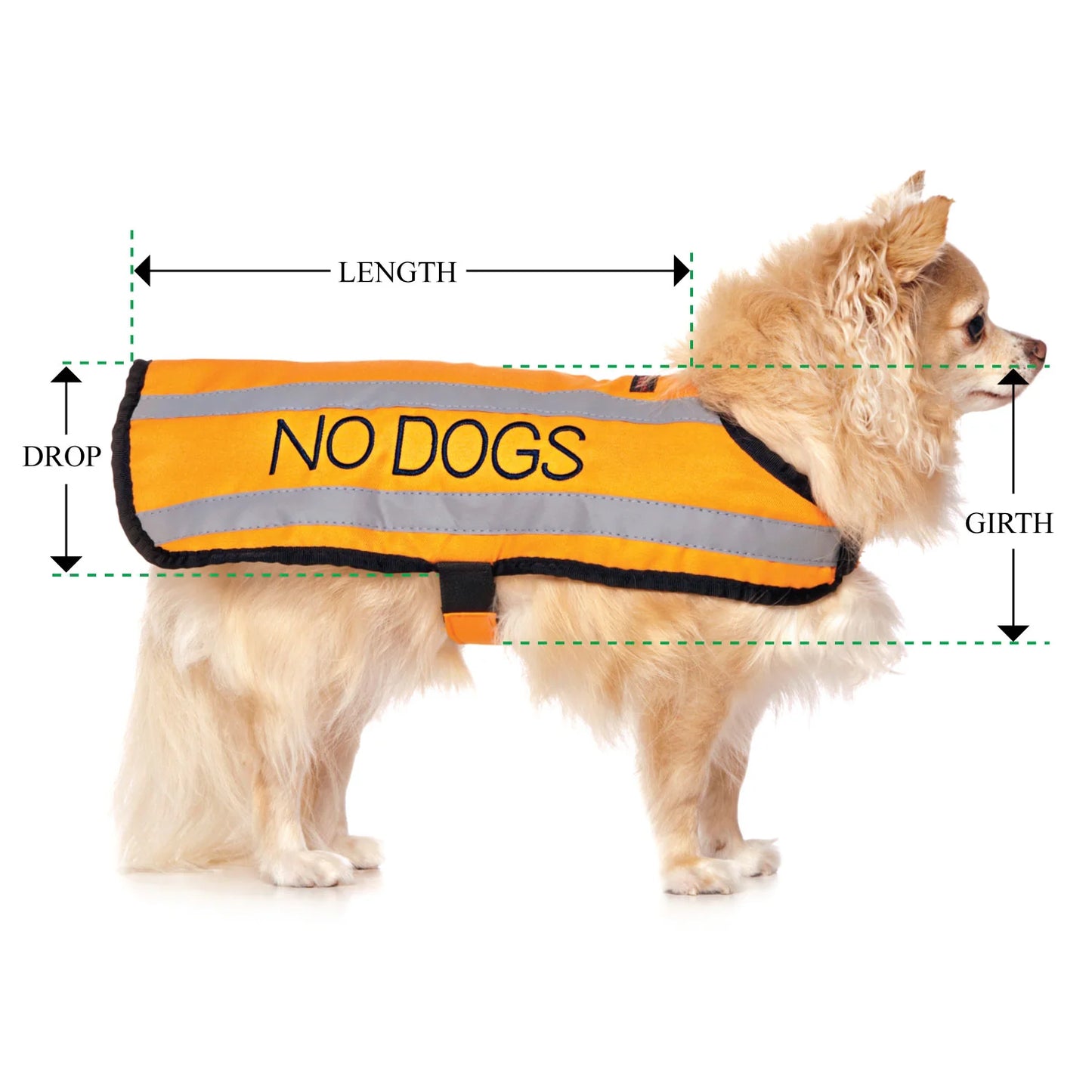 Friendly Dog Collars- Coat- No Dogs