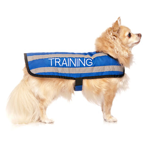 Friendly Dog Collars- Coat- Training