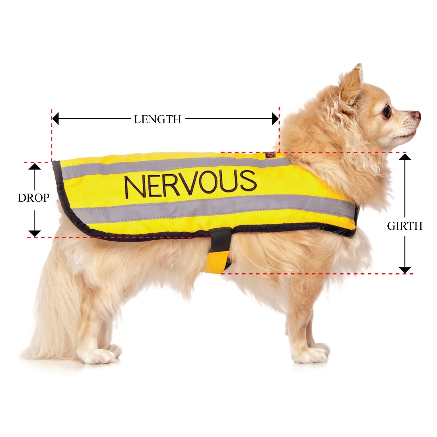 Friendly Dog Collars- Coat- Nervous