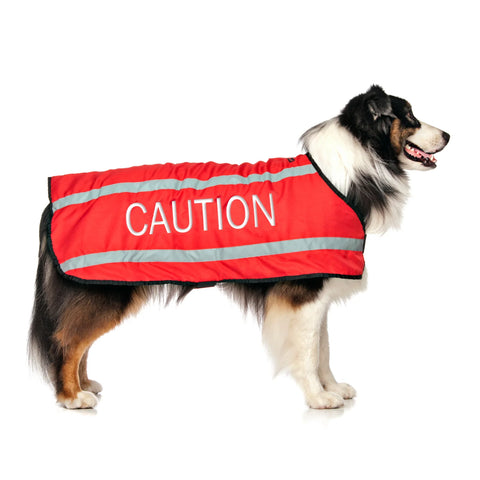 Friendly Dog Collars- Coat- Caution