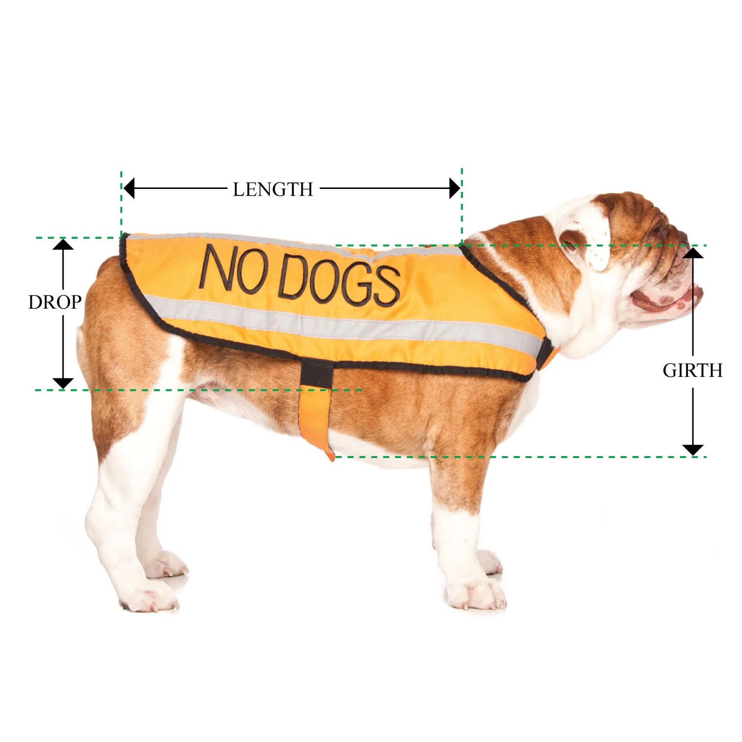 Friendly Dog Collars- Coat- No Dogs