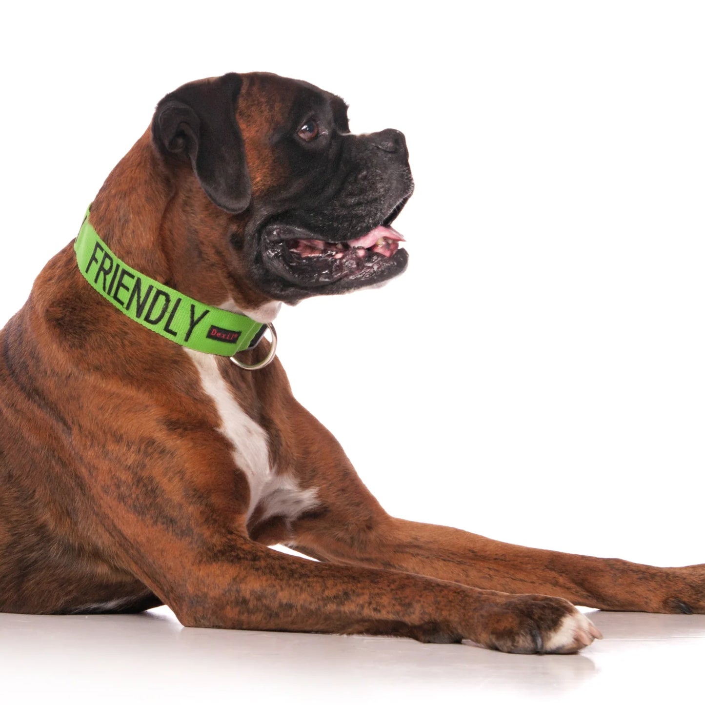 Friendly Dog Collars-FRIENDLY- Clip Collar L/XL