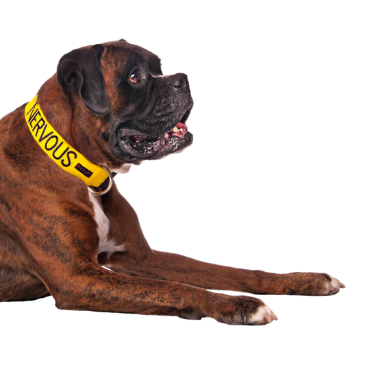 Friendly Dog Collars-NERVOUS- Clip Collar L/XL