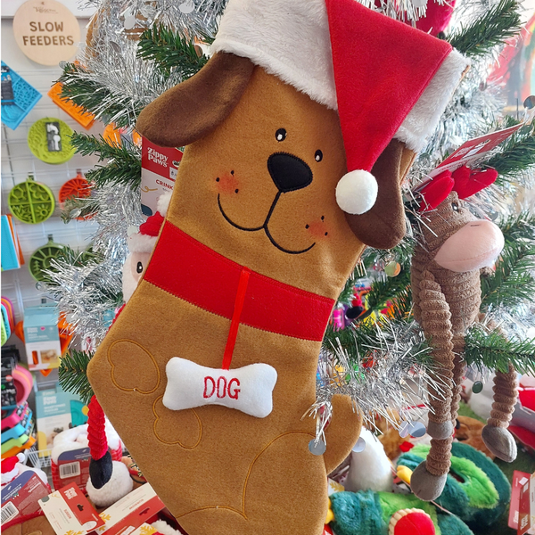Christmas Dog Stocking 2025