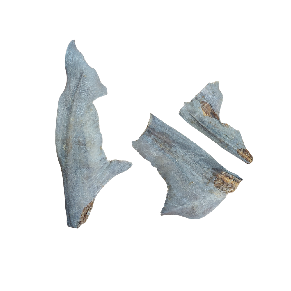 Treat Bar- Shark Tail Fin All Natural Fish Dog Treats