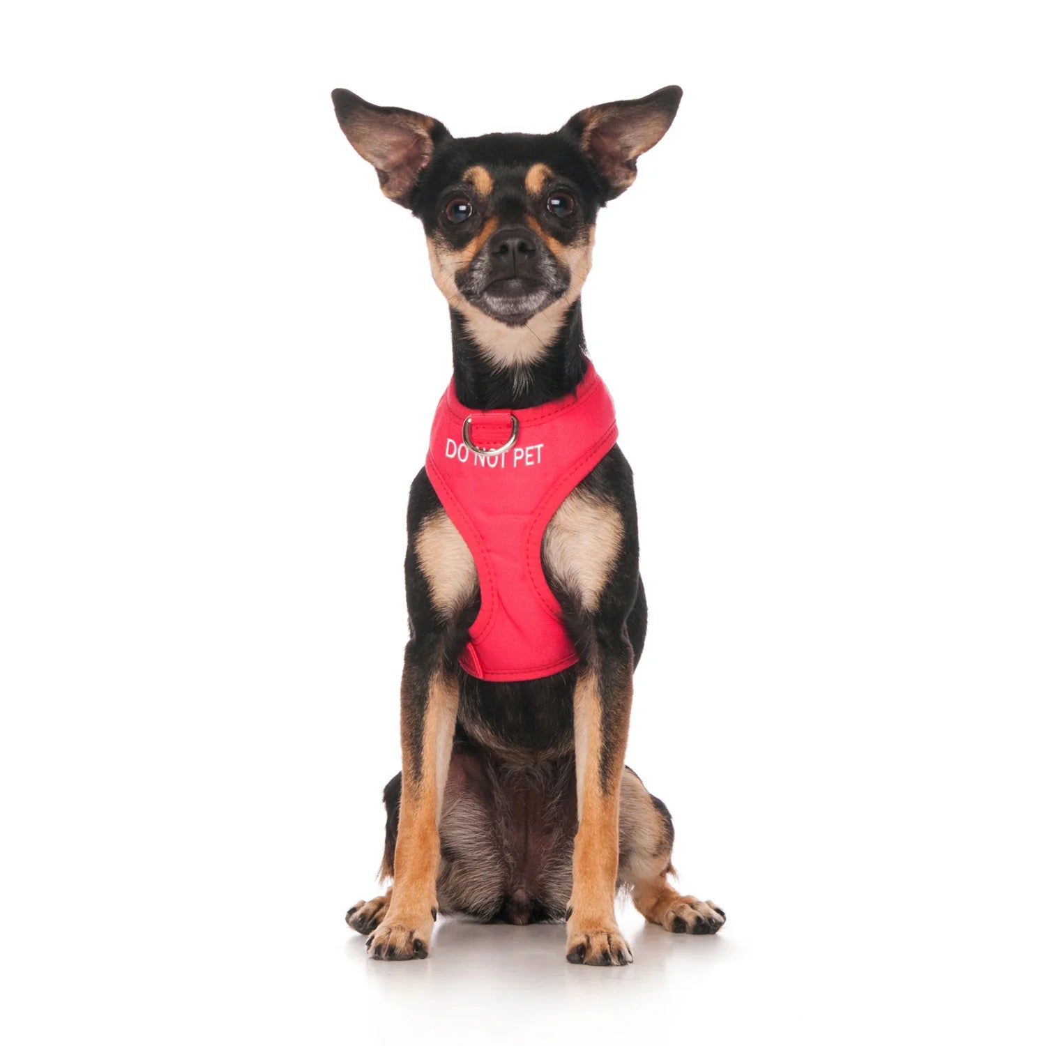 Do Not Pet dog harness. Vibrant red harness to let others know your dog should not be approached.