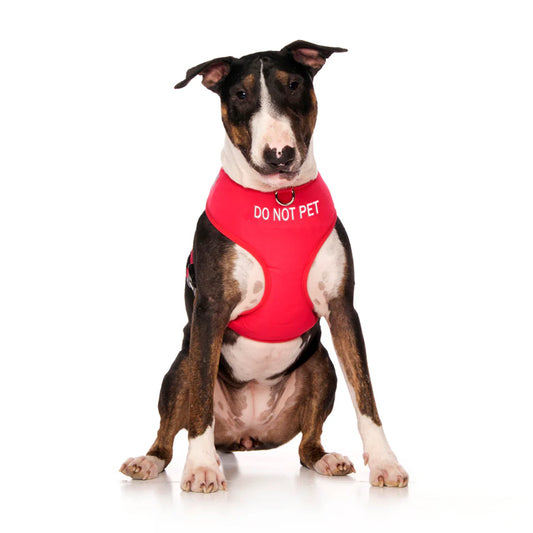 Do Not Pet dog harness. Vibrant red harness to let others know your dog should not be approached.