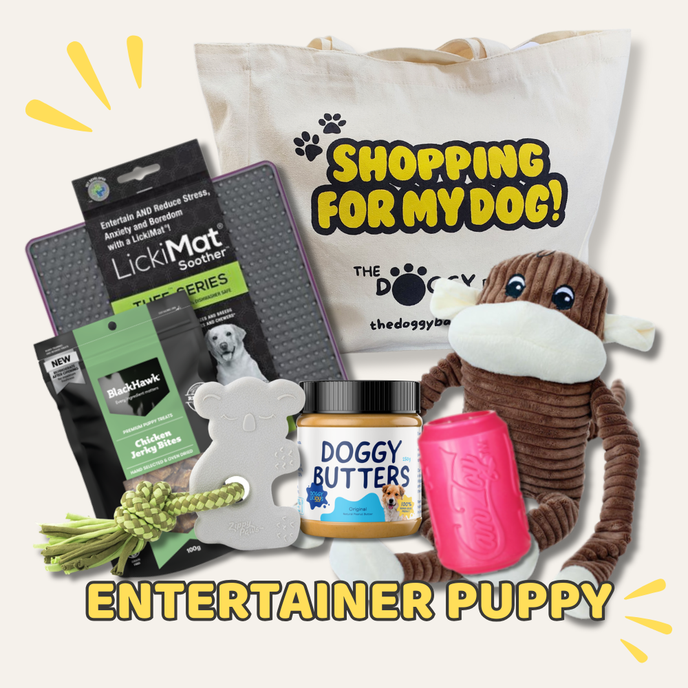 Collection of dog products including a toy, treats, and a bag with text on a white background