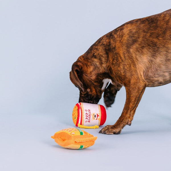 Fringe Studio "Nothin But Noodles" Plush Dog Toy Set- 2 Pack