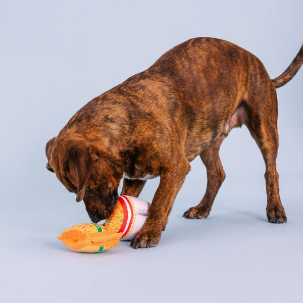Fringe Studio "Nothin But Noodles" Plush Dog Toy Set- 2 Pack