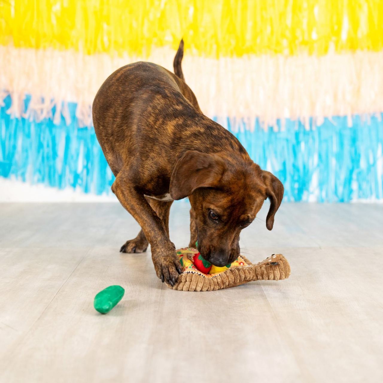 Fringe Studio Fiesta Till You Siesta Hide N Seek Plush Dog Toy