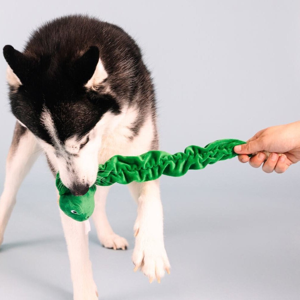 Fringe Studio- Hisses And Kisses Tuggable Plush Dog Toy