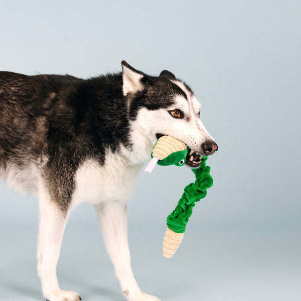 Fringe Studio- Hisses And Kisses Tuggable Plush Dog Toy